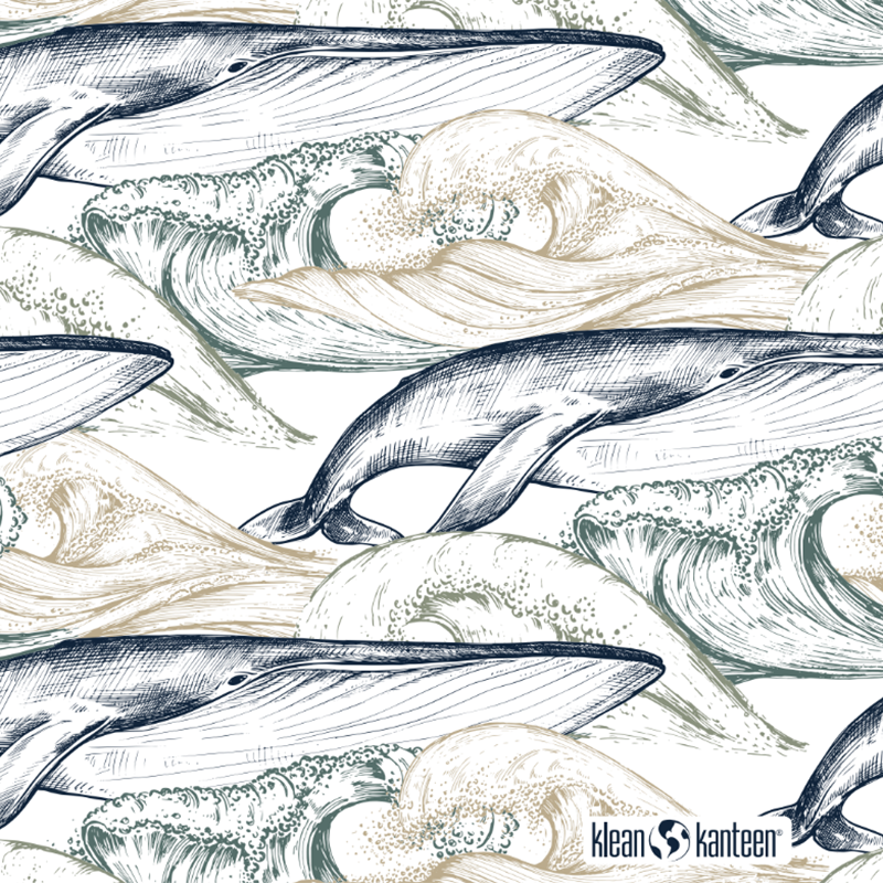 20oz-tkwide-with-twist-cap-ocean-day-i6 20oz_tkwide_bottle_seasonal_ocean_day_whale_artwork_square.png