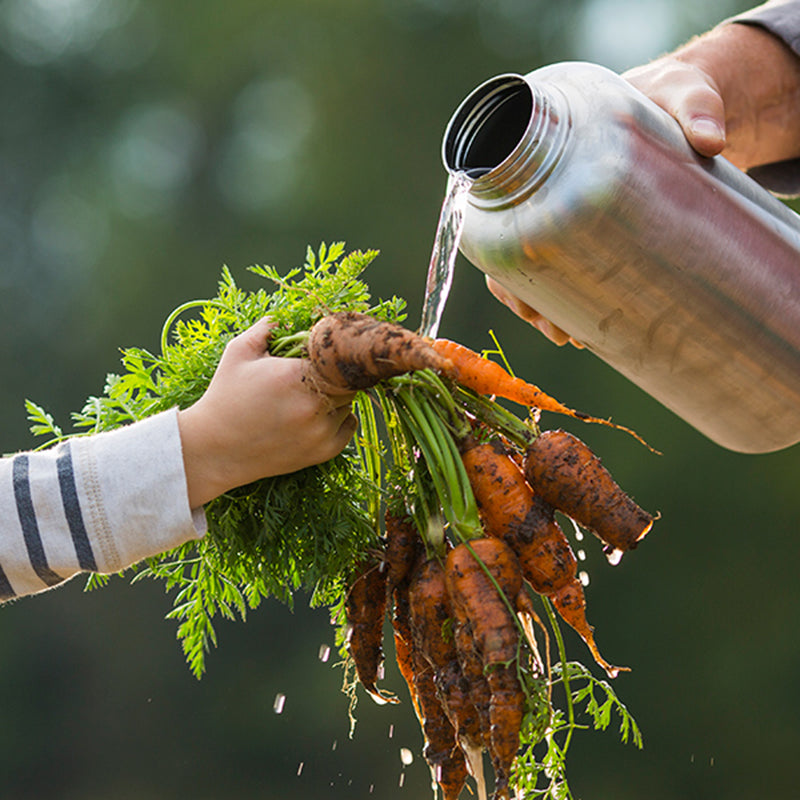 64oz-wide-with-loop-cap-i8 64oz_wide_mouth_bottle_carrots_rinse_square.jpg