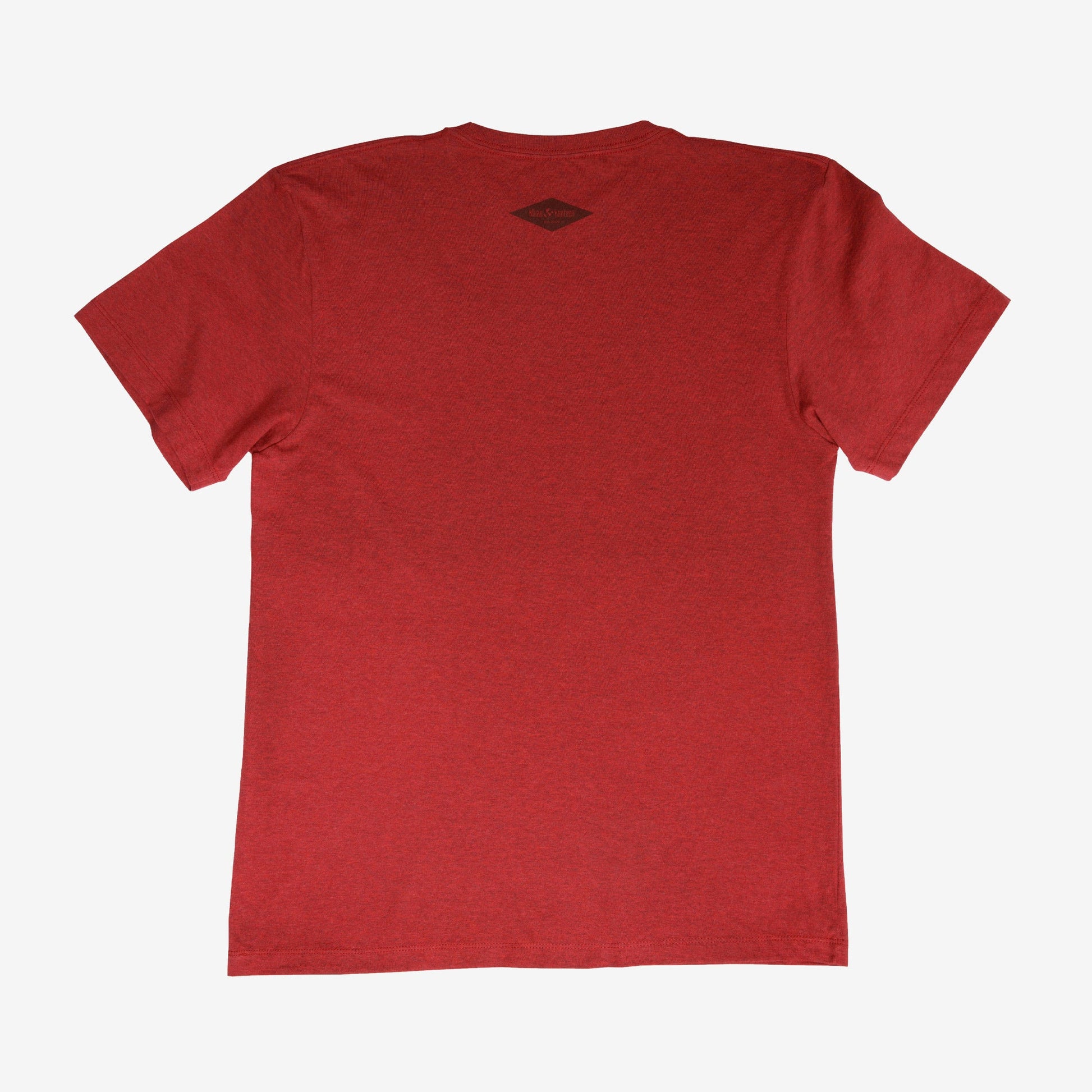 backyard-t-shirt-c4 Shirt_Mtn_Back.jpg